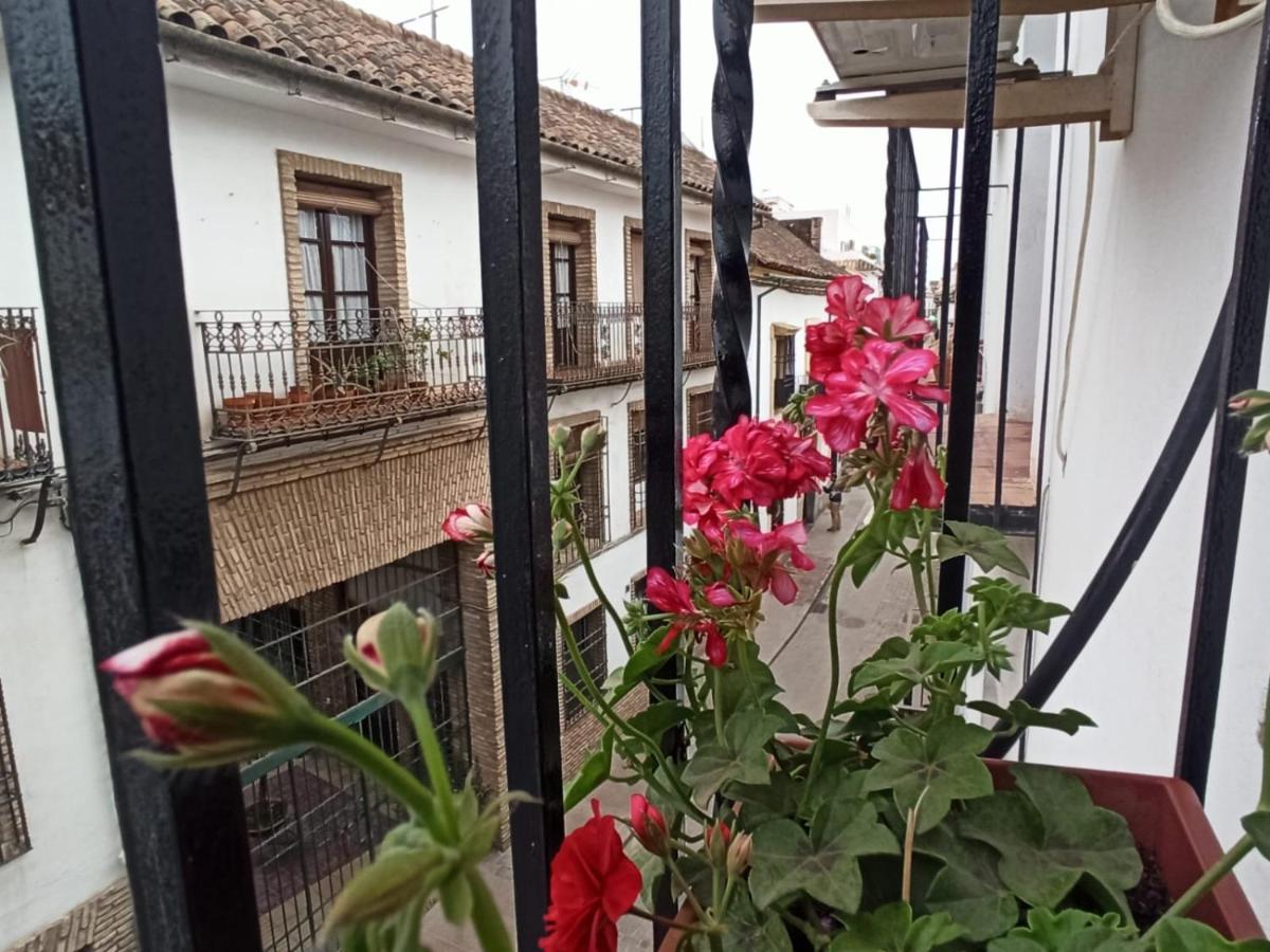 La Antigua Posada 33 Leilighet Córdoba Eksteriør bilde